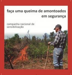 Queimas e Quimadas